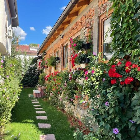 Flower House In The City Center! 프리슈티나 외부 사진