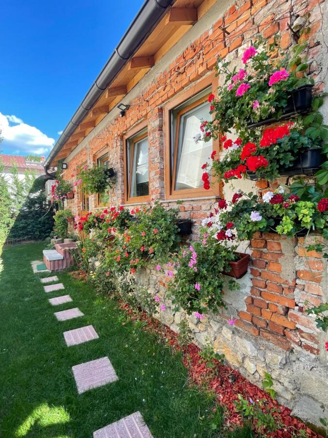 Flower House In The City Center! 프리슈티나 외부 사진